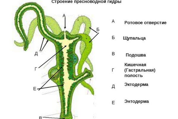Ссылка на кракен даркнет
