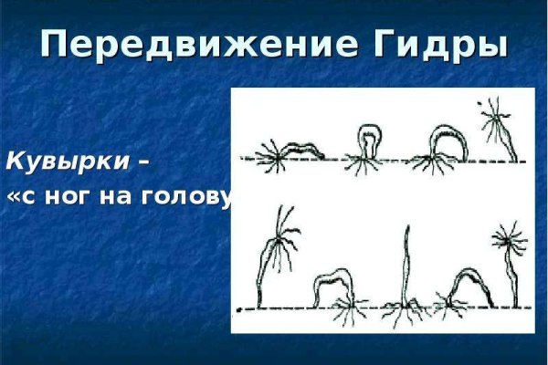Магазин даркнета