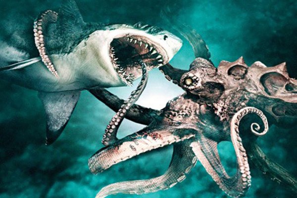 Ссылка кракен kraken torion net