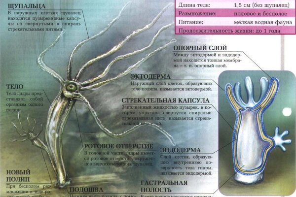 Kra43at