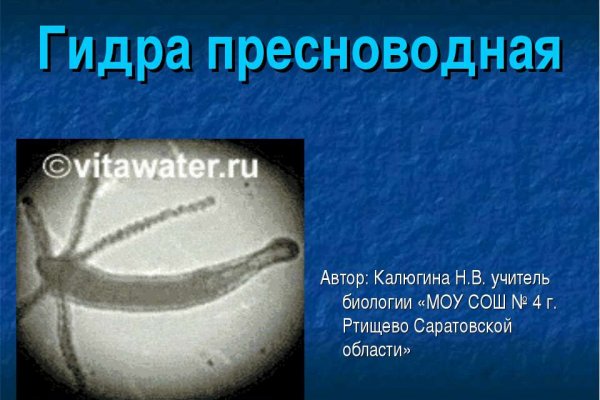 Можно ли зайти на кракен через обычный браузер