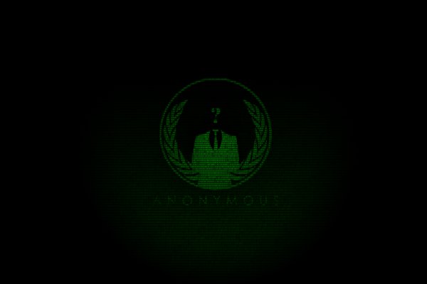 Kraken 19 at