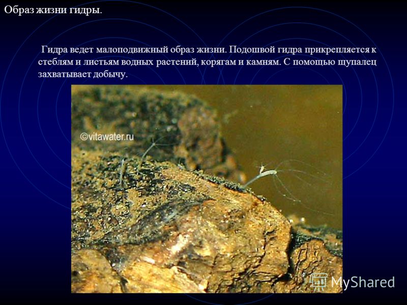 Взломали аккаунт кракен