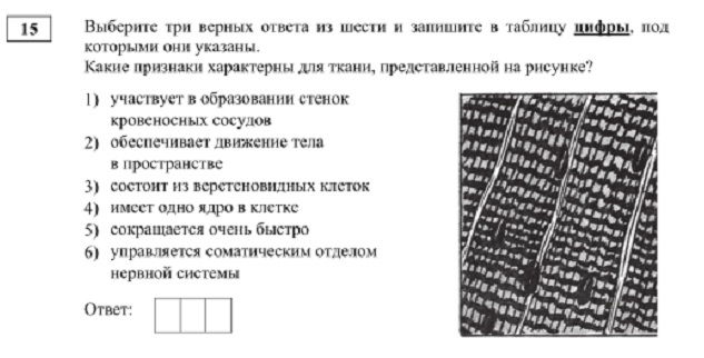 Кракен оф ссылка