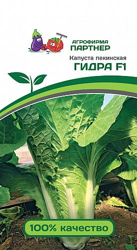 Зайти на кракен без тора